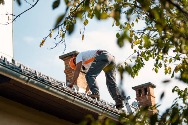 Best Slate Roofing Contractor  in Baxter, MN