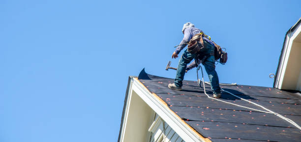 Professional Roofing Contractor in Baxter, MN